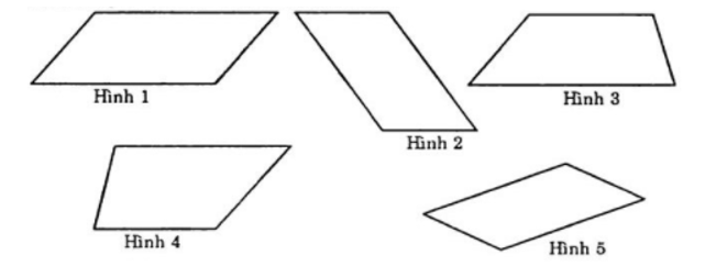 16 câu Trắc nghiệm Toán 6 Chương 3 (Chân trời sáng tạo): Hình học trực quan. Các hình phẳng trong thực tiễn có đáp án (ảnh 3)