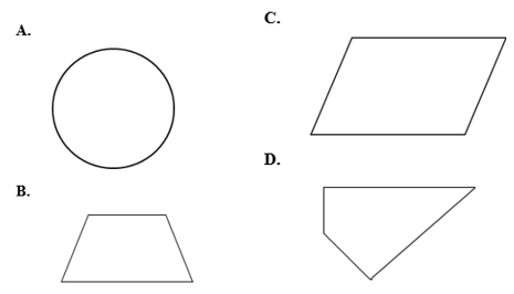 16 câu Trắc nghiệm Toán 6 Chương 3 (Chân trời sáng tạo): Hình học trực quan. Các hình phẳng trong thực tiễn có đáp án (ảnh 13)