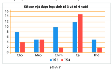 11 câu Trắc nghiệm Toán 6 Chương 4 (Chân trời sáng tạo): Một số yếu tốt thống kê có đáp án (ảnh 14)