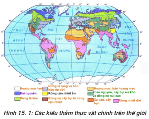 Trắc nghiệm Địa Lí 10 Bài 19 có đáp án năm 2021 mới nhất