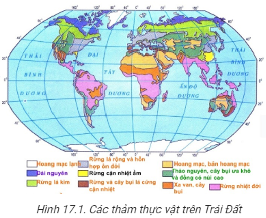 Trắc nghiệm Địa Lí 10 Bài 21 có đáp án năm 2021 mới nhất