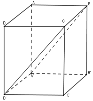 Trắc nghiệm Hình hộp chữ nhật có đáp án