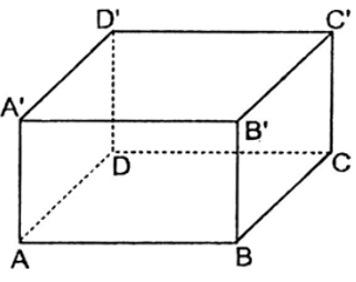 Trắc nghiệm Hình hộp chữ nhật có đáp án