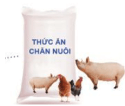 Trắc nghiệm Công nghệ 10 Cánh diều Ôn tập chủ đề 1 (có đáp án): Giới thiệu chung về trồng trọt | Công nghệ trồng trọt 10