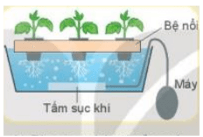 Trắc nghiệm Công nghệ 10 Kết nối tri thức Chương 1 có đáp án (Thiết kế và công nghệ 10)