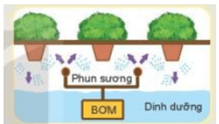 Trắc nghiệm Công nghệ 10 Kết nối tri thức Chương 1 có đáp án (Thiết kế và công nghệ 10)