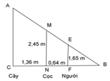 Bài tập ôn tập Chương 3 Hình học 8 có đáp án