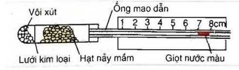 Trắc nghiệm Sinh học 11 Bài 12 có đáp án năm 2021 mới nhất