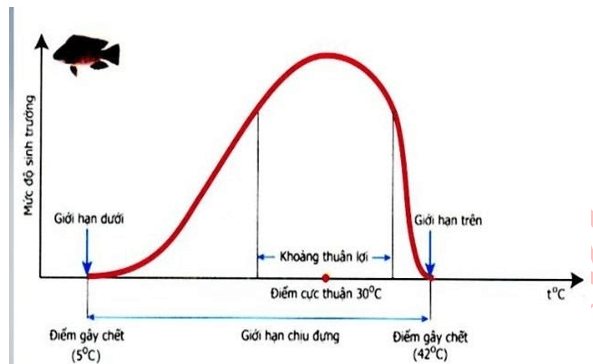 Trắc nghiệm Sinh học 11 Bài 39 có đáp án năm 2021 mới nhất