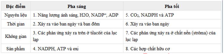 Trắc nghiệm Sinh học 11 Bài 9 có đáp án năm 2021 mới nhất