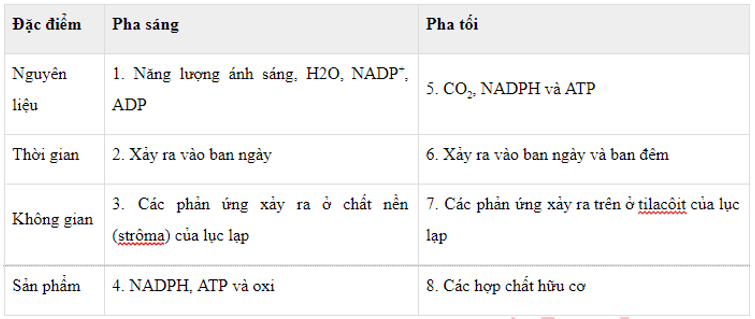 Trắc nghiệm Sinh học 11 Bài 9 có đáp án năm 2021 mới nhất