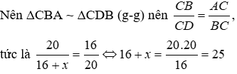 Trắc nghiệm Trường hợp đồng dạng thứ ba có đáp án