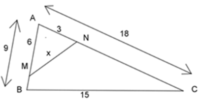 Trắc nghiệm Trường hợp đồng dạng thứ hai có đáp án