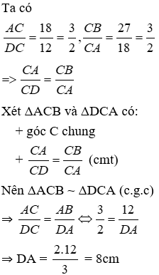 Trắc nghiệm Trường hợp đồng dạng thứ hai có đáp án