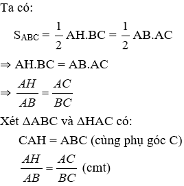 Trắc nghiệm Trường hợp đồng dạng thứ hai có đáp án