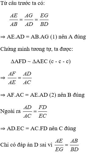 Trắc nghiệm Trường hợp đồng dạng thứ nhất có đáp án