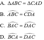 Trắc nghiệm Trường hợp bằng nhau thứ nhất của tam giác: cạnh - cạnh - cạnh (c.c.c)