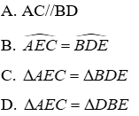 Trắc nghiệm Trường hợp bằng nhau thứ nhất của tam giác: cạnh - cạnh - cạnh (c.c.c)