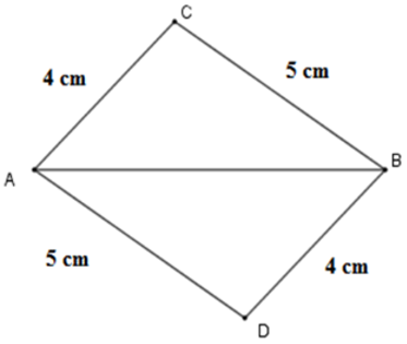 Trắc nghiệm Trường hợp bằng nhau thứ nhất của tam giác: cạnh - cạnh - cạnh (c.c.c)