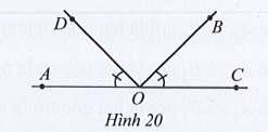 Sách bài tập Toán 7 Bài 2: Tia phân giác của một góc - Cánh diều (ảnh 1)