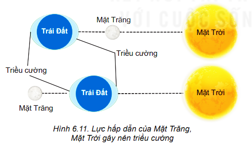 Chuyên đề Vật lí 10 Bài 6: Nhật thực, nguyệt thực, thủy triều - Kết nối tri thức (ảnh 1)