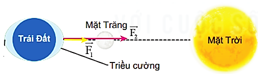 Chuyên đề Vật lí 10 Bài 6: Nhật thực, nguyệt thực, thủy triều - Kết nối tri thức (ảnh 1)