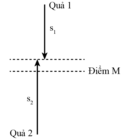 Sách bài tập Vật lí 10 Chủ đề 1: Mô tả chuyển động - Cánh diều (ảnh 1)