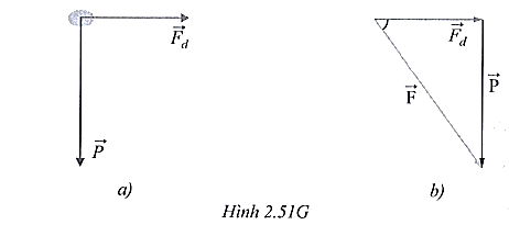 Sách bài tập Vật lí 10 Chủ đề 2: Lực và chuyển động - Cánh diều (ảnh 1)