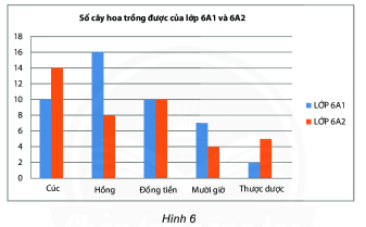 Giáo án Toán 7 Bài 18 (Kết nối tri thức 2023): Biểu đồ hình quạt tròn (ảnh 1)