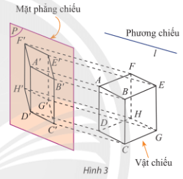 Vận dụng 1 trang 122 Toán 11 Tập 1 Chân trời sáng tạo | Giải Toán 11