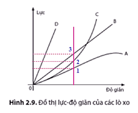 Đồ thị hình 2.9 biểu diễn mối quan hệ giữa lực tác dụng vào đầu dưới lò xo