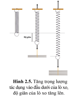 Đồ thị hình 2.9 biểu diễn mối quan hệ giữa lực tác dụng vào đầu dưới lò xo