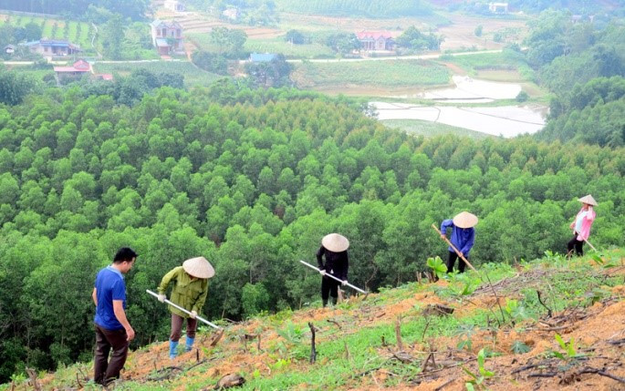 Chuyên đề Vật lí 10 Bài 7: Sự cần thiết phải bảo vệ môi trường - Kết nối tri thức (ảnh 1)