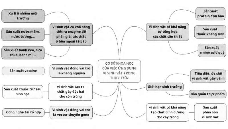 Giáo án Sinh học 10 Bài 27 (Chân trời sáng tạo 2023): Ứng dụng vi sinh vật trong thực tiễn (ảnh 1)