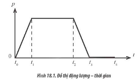 Sách bài tập Vật lí 10 Bài 18: Động lượng và định luật bảo toàn động lượng - Chân trời sáng tạo (ảnh 1)