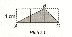 Vở thực hành Toán 7 Bài ôn tập cuối chương 2 - Kết nối tri thức (ảnh 1)