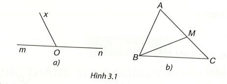 Vở thực hành Toán 7 Bài 8: Góc ở vị trí đặc biệt. Tia phân giác của một góc - Kết nối tri thức (ảnh 1)