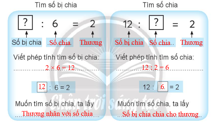 Vở bài tập Toán lớp 3 Tập 1 trang 19 Bài 9: Tìm số bị chia, tìm số chia - Chân trời sáng tạo (ảnh 1)