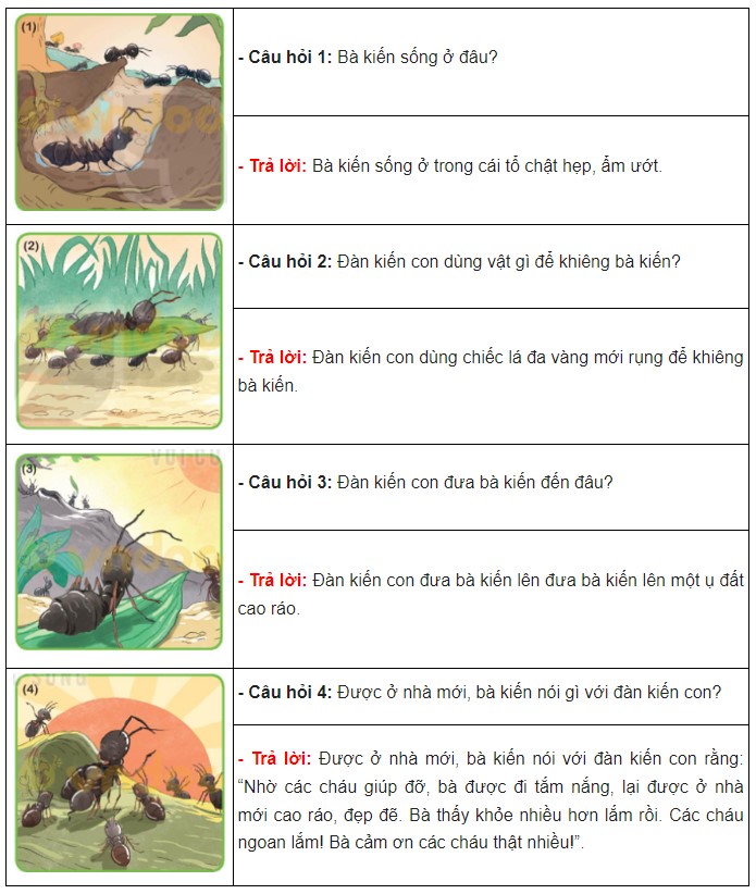 H2. Đàn kiến con ngoan ngoãn