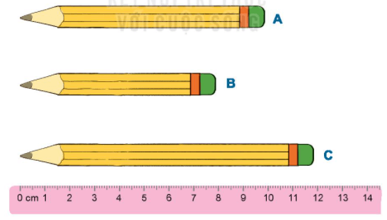 Bút chì nào dài hơn 8cm?