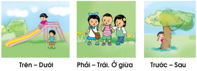 Trên - dưới. Phải - trái. Trước sau