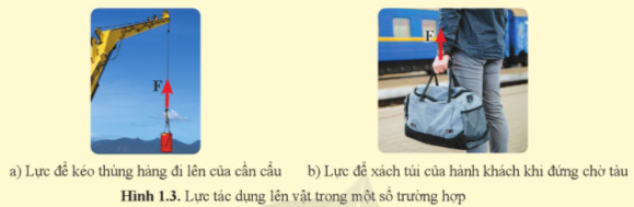 Giải KHTN 9 Bài 1 (Cánh diều): Công và công suất (ảnh 1)