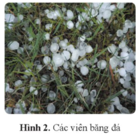 Giải KHTN 9 (Cánh diều) Bài tập chủ đề 1 trang 18 (ảnh 1)