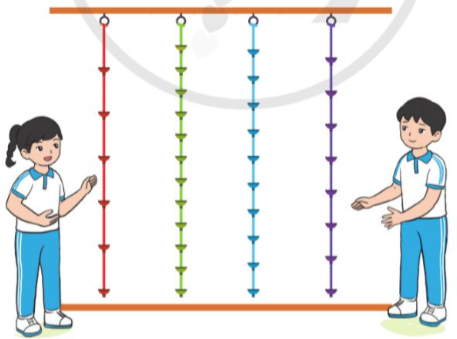 Toán lớp 5 trang 12 Bài 4: Ôn tập và bổ sung về phân số - Cánh diều (ảnh 1)