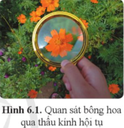 Giải KHTN 9 Bài 6 (Cánh diều): Sự tạo ảnh qua thấu kính. Kính lúp (ảnh 1)