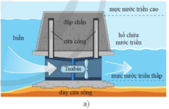 Giải KHTN 9 Bài 14 (Cánh diều): Năng lượng tái tạo (ảnh 1)