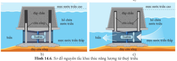 Giải KHTN 9 Bài 14 (Cánh diều): Năng lượng tái tạo (ảnh 1)