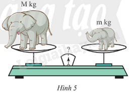 Giải SGK Toán 9 Bài 3 (Chân trời sáng tạo): Tính chất của phép khai phương (ảnh 8)