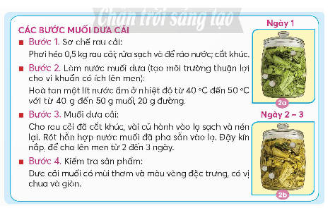 Khoa học lớp 5 Chân trời sáng tạo Bài 19: Vi khuẩn có ích trong chế biến thực phẩm