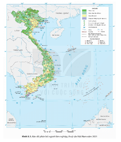 Dựa vào thông tin mục 1 và hình 5.1, hãy: Cho biết đặc điểm phân bố tài nguyên rừng ở nước ta